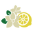 Lemon & Jasmine